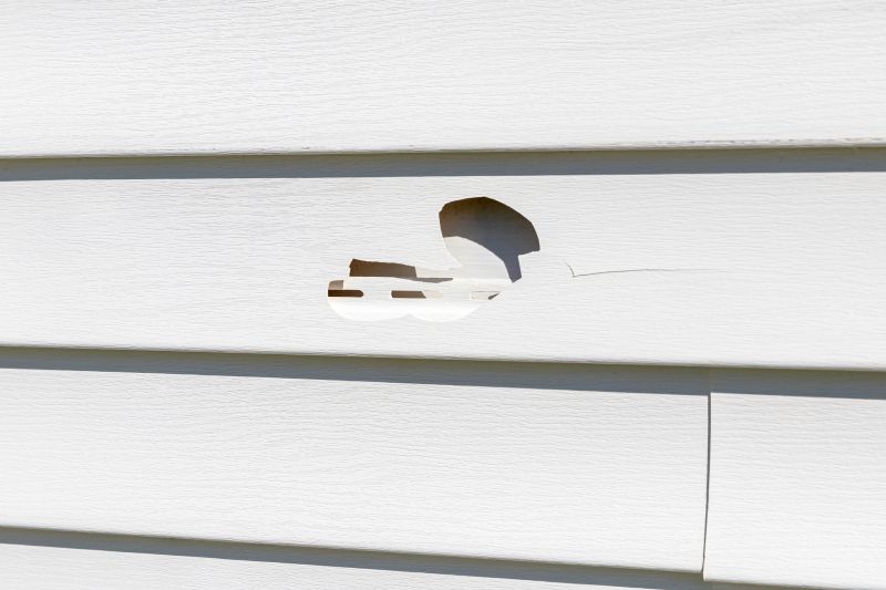 Vinyl Siding Repair Service Final Image 1